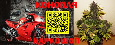 Альфа ПВП Краснодар