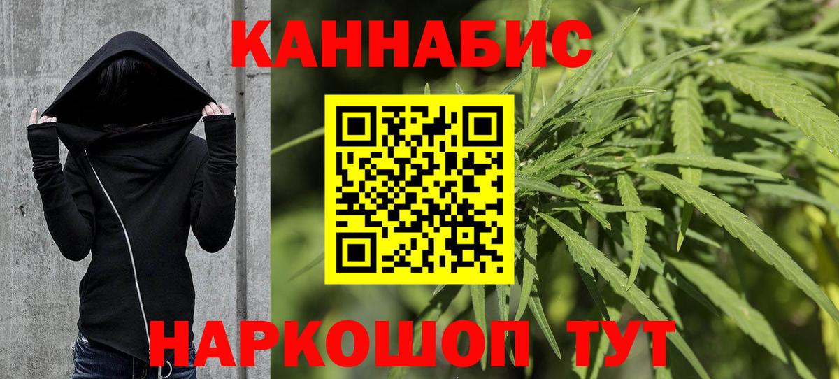 Канабис сатива Фролово